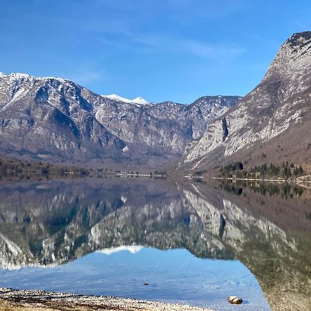 Mountain View In Triglav National Park Apartment Bohinj Exterior photo