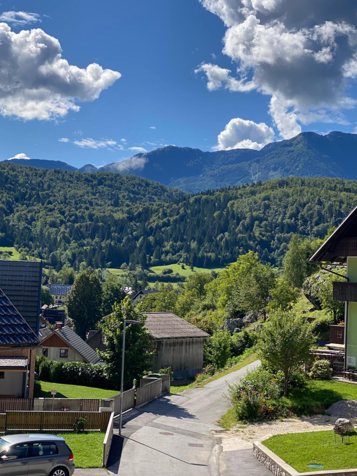 Mountain View In Triglav National Park Apartment Bohinj Exterior photo