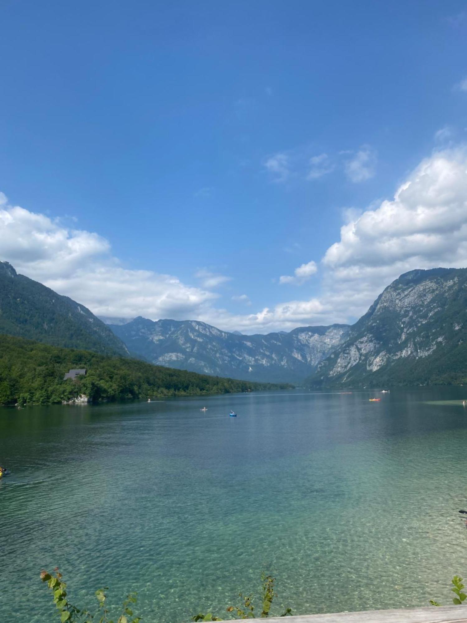 Mountain View In Triglav National Park Apartment Bohinj Exterior photo